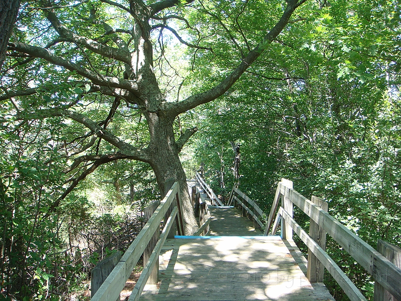 Western Michigan [2010] 024.JPG - Scenes from our trip to Western Michigan. Some places along the way were Ludington, Sleep Bear Dunes, and Traverse City.